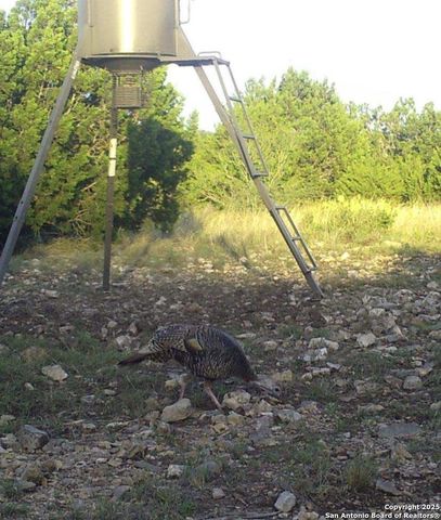 1024 Sd 63005, Rocksprings, TX 78880