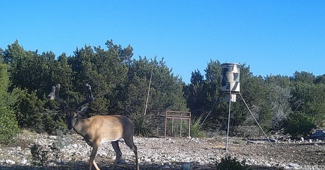 1024 Sd 63005, Rocksprings, TX 78880