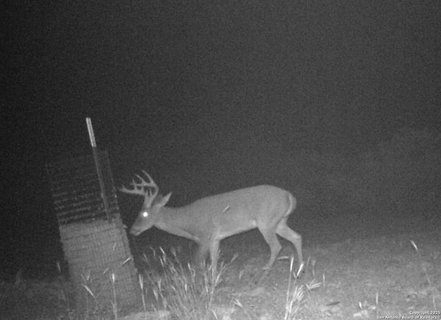 1024 Sd 63005, Rocksprings, TX 78880