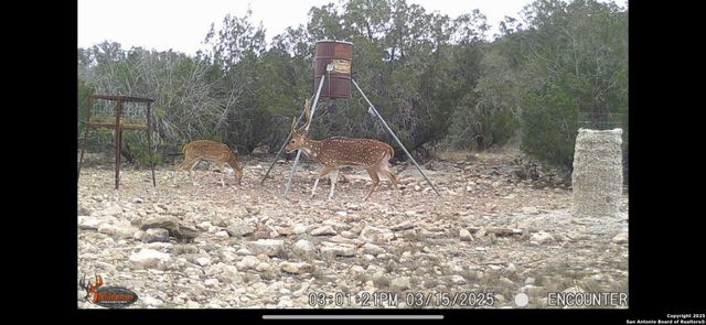 1024 Sd 63005, Rocksprings, TX 78880