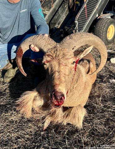 1024 Sd 63005, Rocksprings, TX 78880