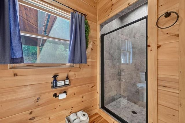 12 N Dream Catcher, Blue Ridge, GA 30513