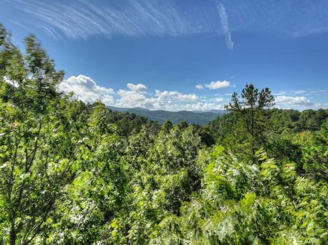 12 N Dream Catcher, Blue Ridge, GA 30513