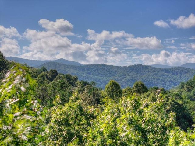12 N Dream Catcher, Blue Ridge, GA 30513