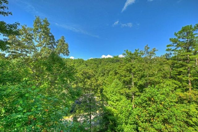 12 N Dream Catcher, Blue Ridge, GA 30513