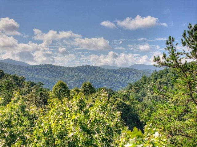 12 N Dream Catcher, Blue Ridge, GA 30513
