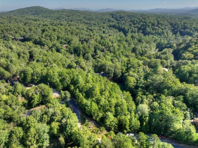 12 N Dream Catcher, Blue Ridge, GA 30513