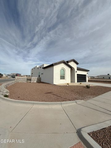 874 HARPENDEM Drive, Horizon City, TX 79928