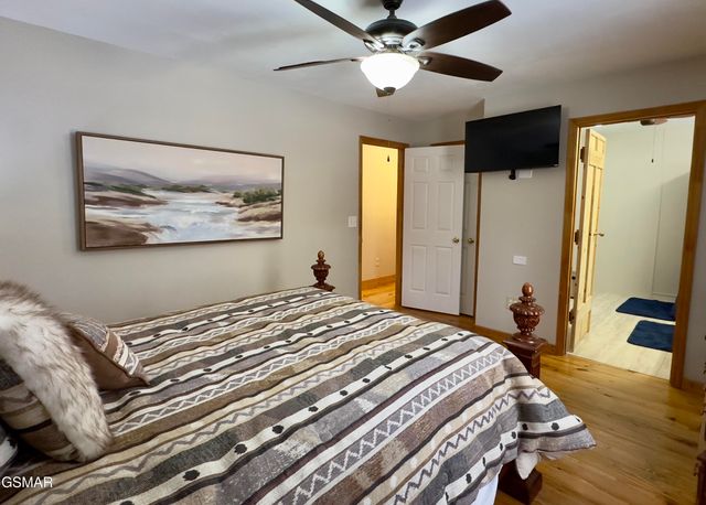 146 Hollow Road, Cosby, TN 37722