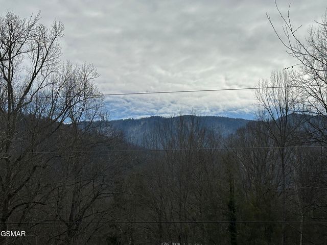 146 Hollow Road, Cosby, TN 37722