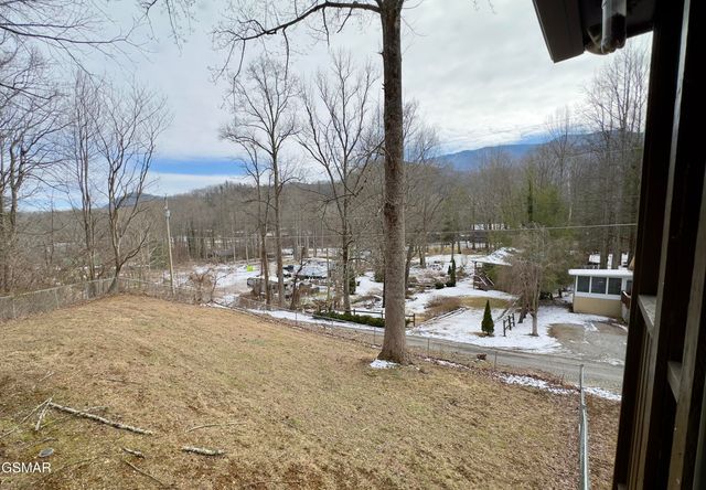 146 Hollow Road, Cosby, TN 37722