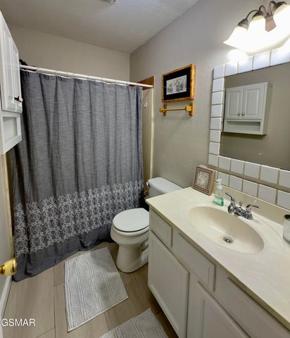 146 Hollow Road, Cosby, TN 37722