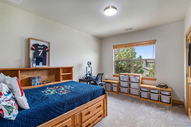 12161 S Leaning Pine Court, Parker, CO 80134