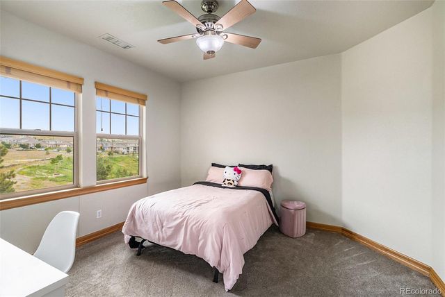 12161 S Leaning Pine Court, Parker, CO 80134