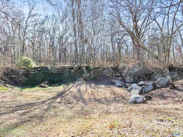 15 All Jersey Road, Somerville, AL 35670