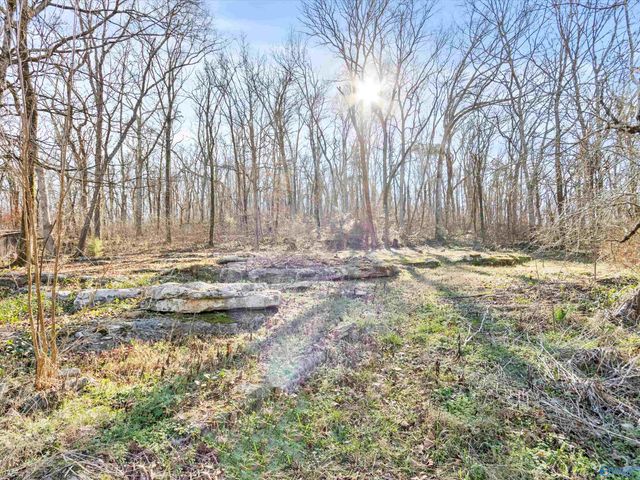 15 All Jersey Road, Somerville, AL 35670