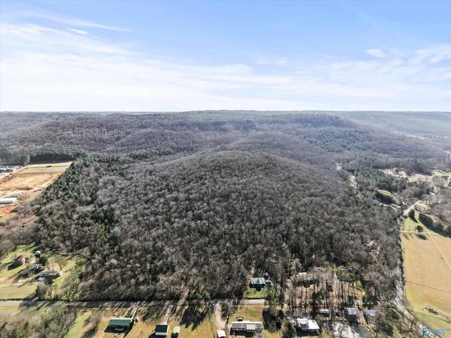 15 All Jersey Road, Somerville, AL 35670