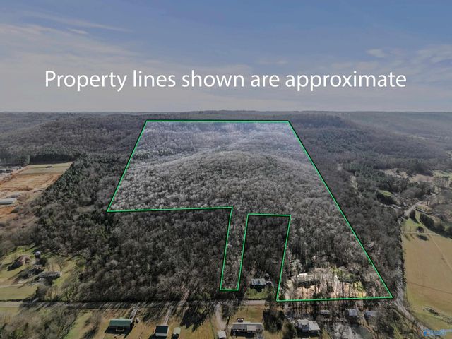 15 All Jersey Road, Somerville, AL 35670