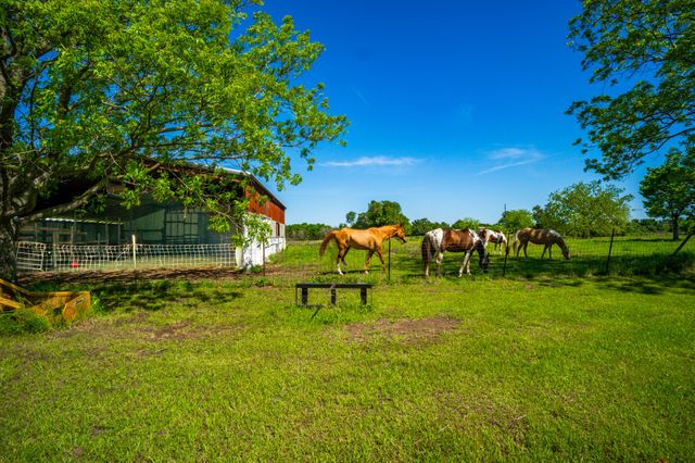682 Lcr 450, Mexia, TX 76667