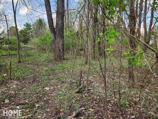 7405 W Lansing Road, Shaftsburg, MI 48872
