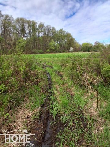 7405 W Lansing Road, Shaftsburg, MI 48872