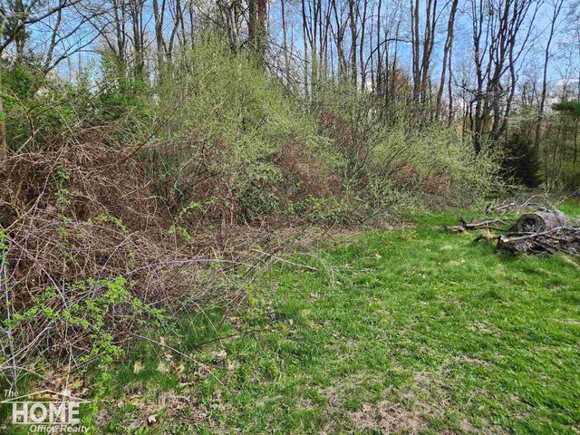 7405 W Lansing Road, Shaftsburg, MI 48872