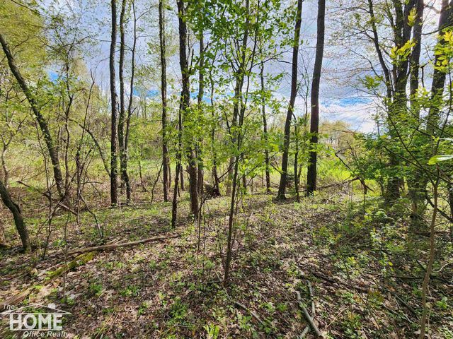 7405 W Lansing Road, Shaftsburg, MI 48872