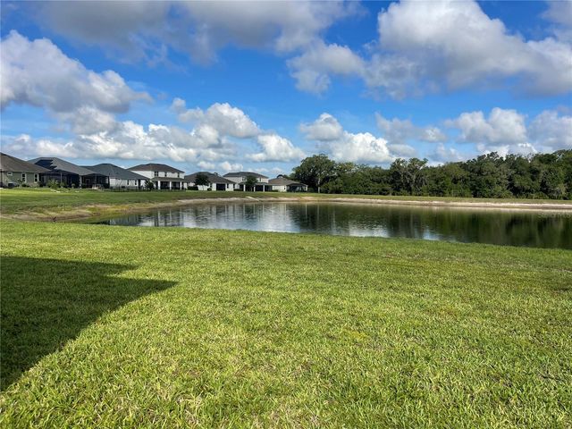10708 PLANER PICKET DRIVE, Riverview, FL 33569