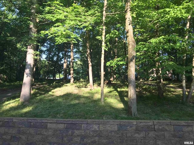 163 BRIARWOOD Place, Dahinda, IL 61428