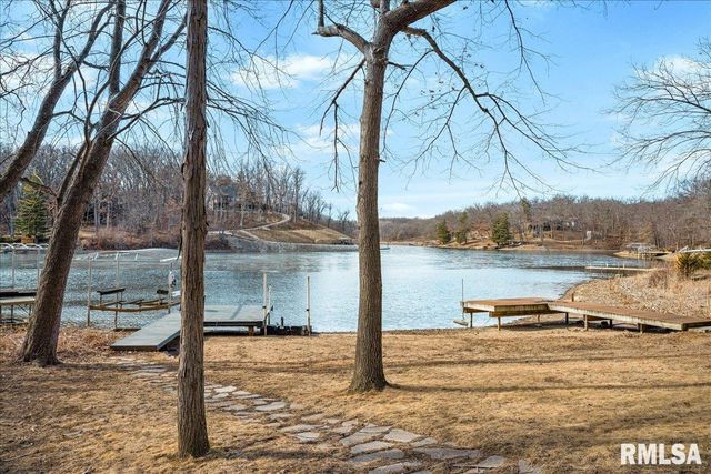 163 BRIARWOOD Place, Dahinda, IL 61428