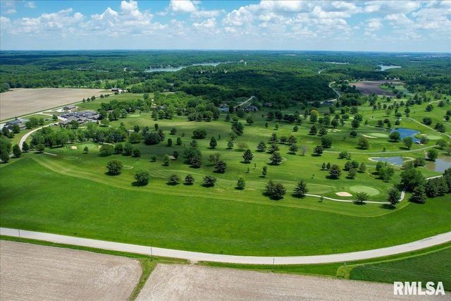 163 BRIARWOOD Place, Dahinda, IL 61428