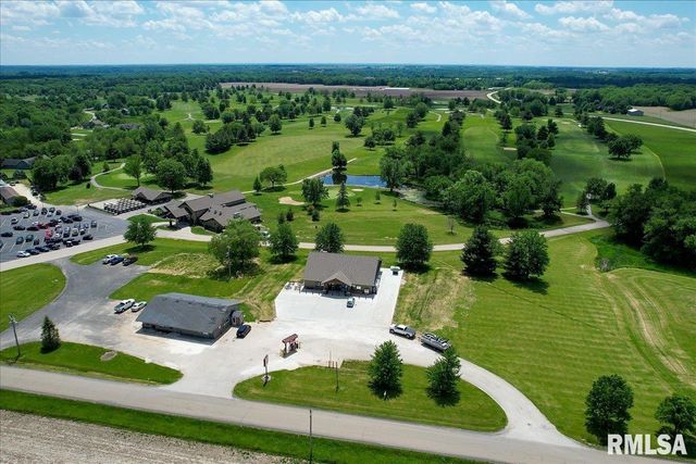 163 BRIARWOOD Place, Dahinda, IL 61428