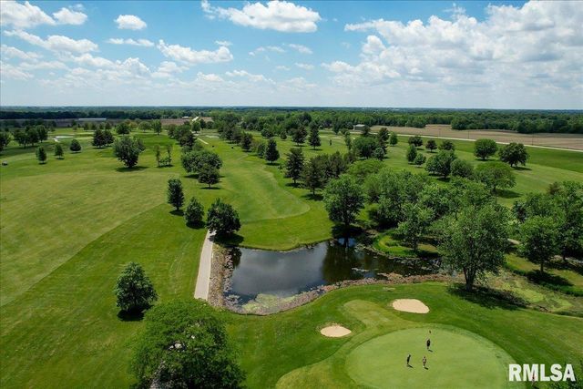 163 BRIARWOOD Place, Dahinda, IL 61428