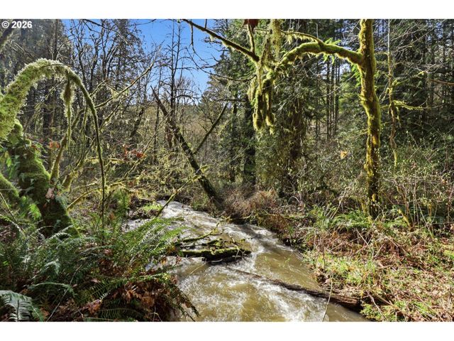 0 Nw Green Mountain Rd., Banks, OR 97106