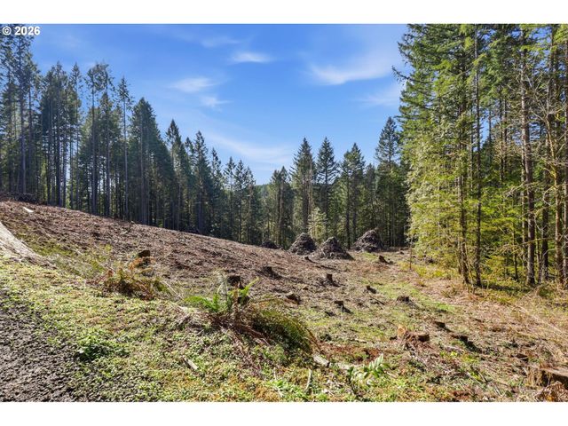 0 Nw Green Mountain Rd., Banks, OR 97106