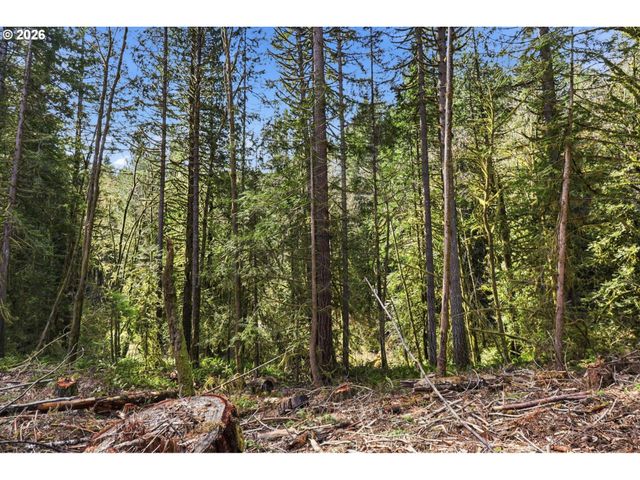 0 Nw Green Mountain Rd., Banks, OR 97106