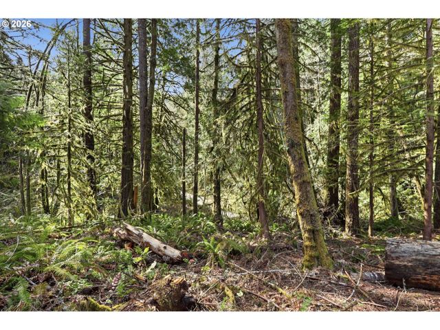 0 Nw Green Mountain Rd., Banks, OR 97106
