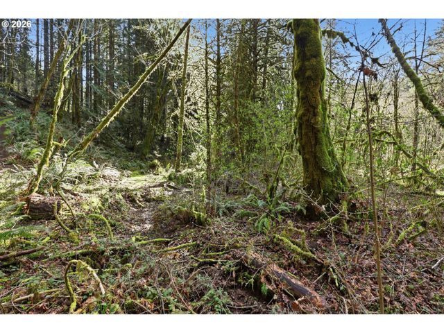 0 Nw Green Mountain Rd., Banks, OR 97106