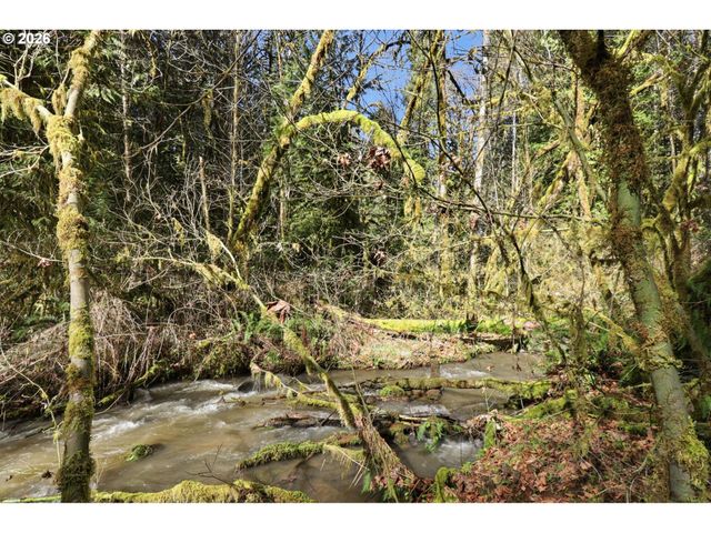 0 Nw Green Mountain Rd., Banks, OR 97106