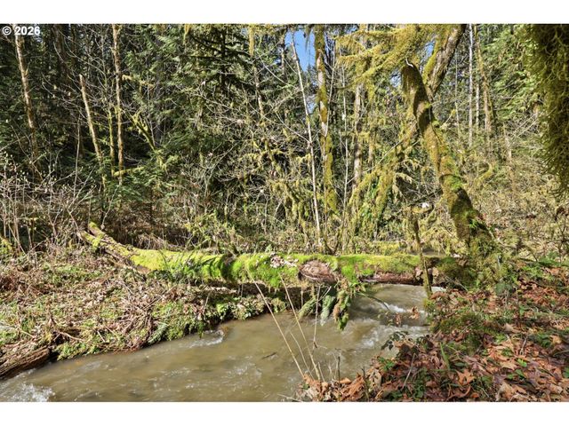 0 Nw Green Mountain Rd., Banks, OR 97106