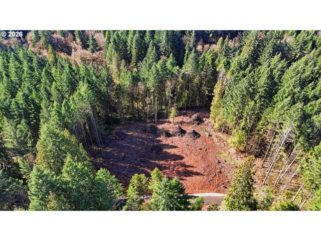0 Nw Green Mountain Rd., Banks, OR 97106
