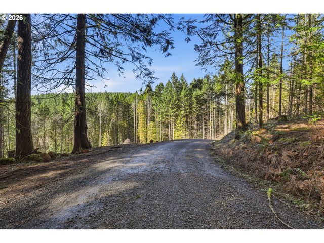 0 Nw Green Mountain Rd., Banks, OR 97106