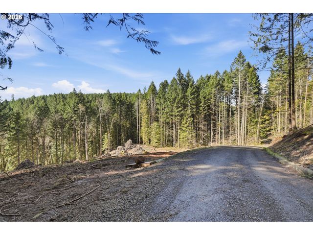 0 Nw Green Mountain Rd., Banks, OR 97106