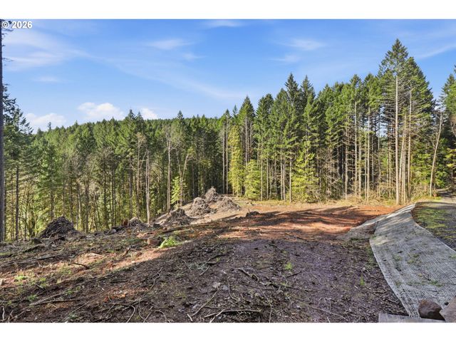 0 Nw Green Mountain Rd., Banks, OR 97106