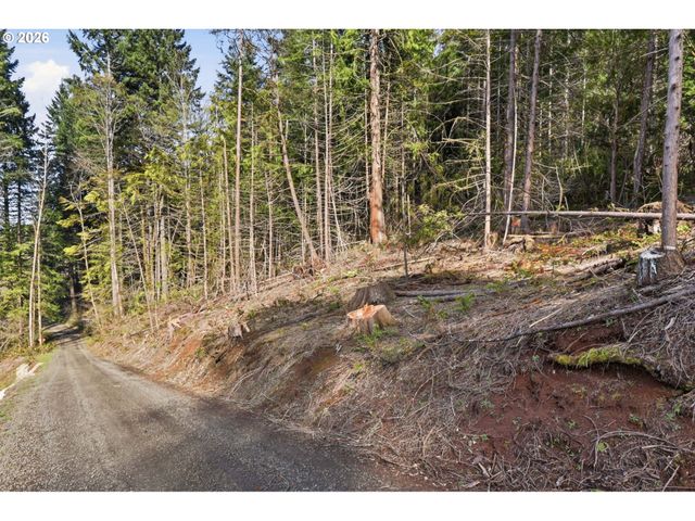 0 Nw Green Mountain Rd., Banks, OR 97106