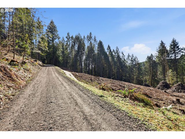 0 Nw Green Mountain Rd., Banks, OR 97106