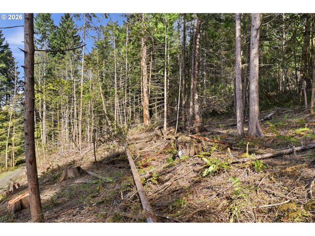 0 Nw Green Mountain Rd., Banks, OR 97106