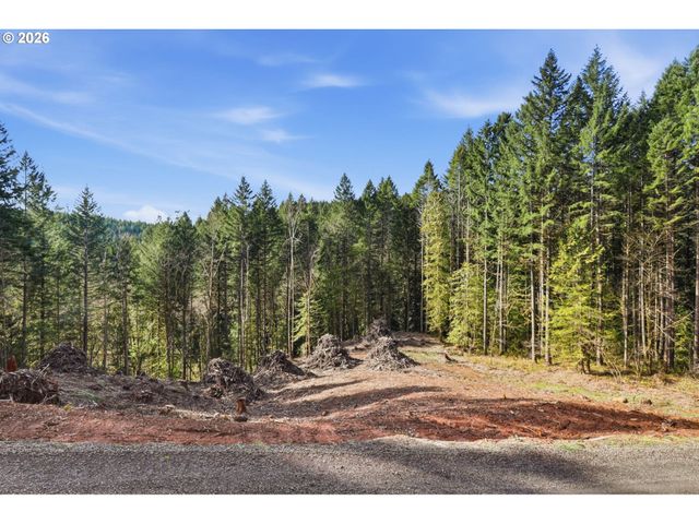 0 Nw Green Mountain Rd., Banks, OR 97106