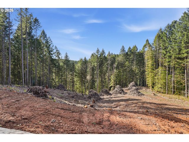 0 Nw Green Mountain Rd., Banks, OR 97106
