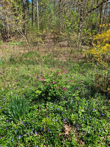 3767 N US-23, Au Sable Twp, MI 48750